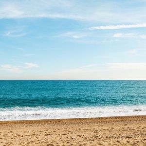 Meet your Posher, Betsey